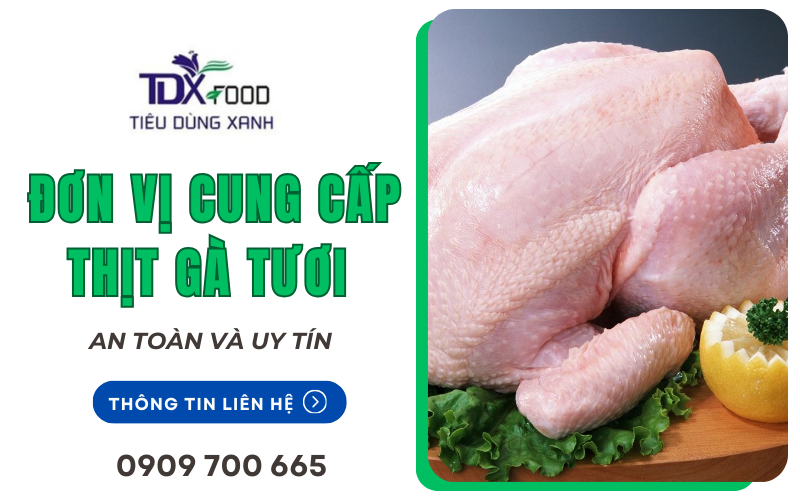 cung cấp thịt gà tươi