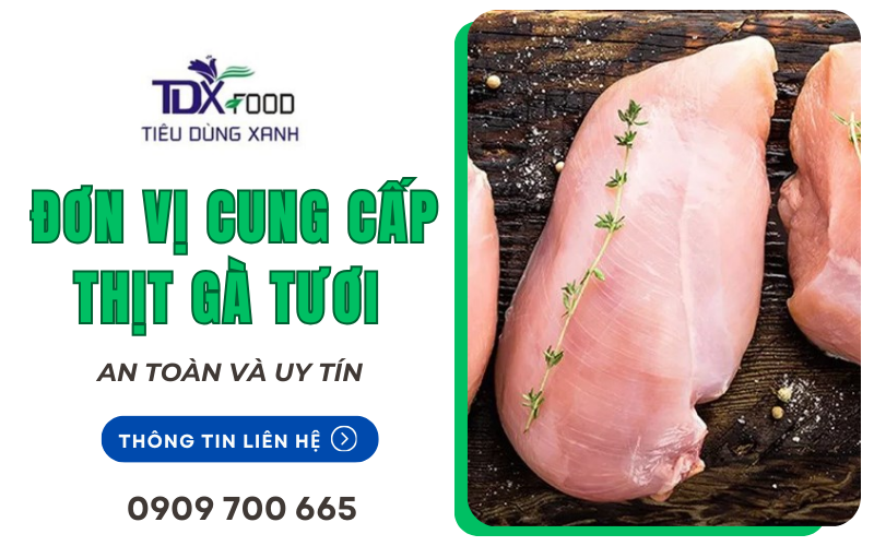 cung cấp thịt gà tươi