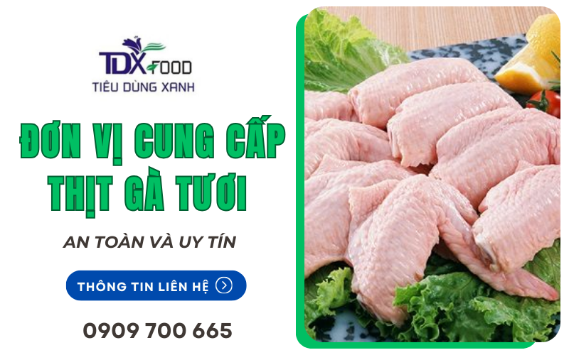 cung cấp thịt gà tươi