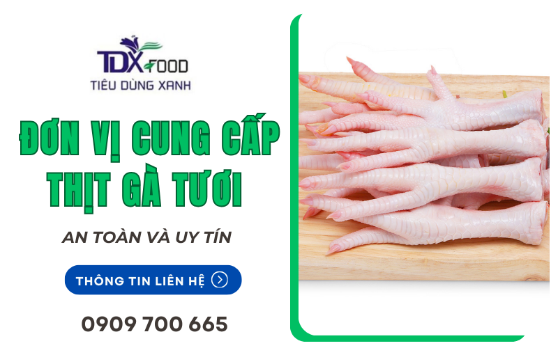 cung cấp thịt gà tươi