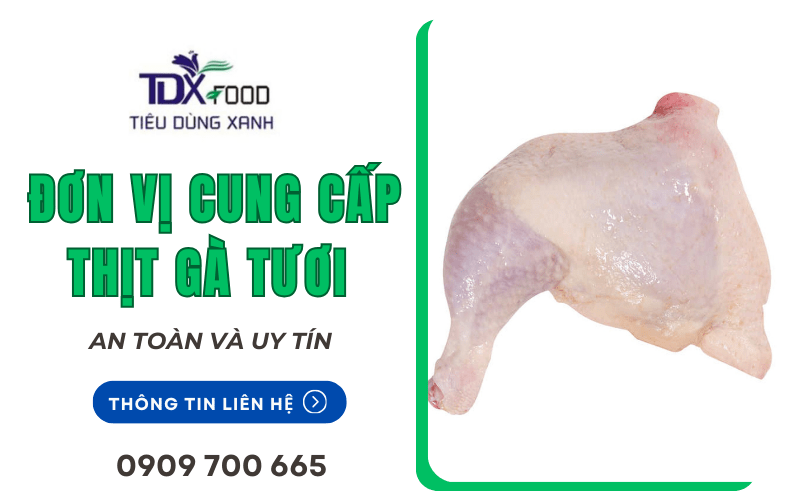 cung cấp thịt gà tươi