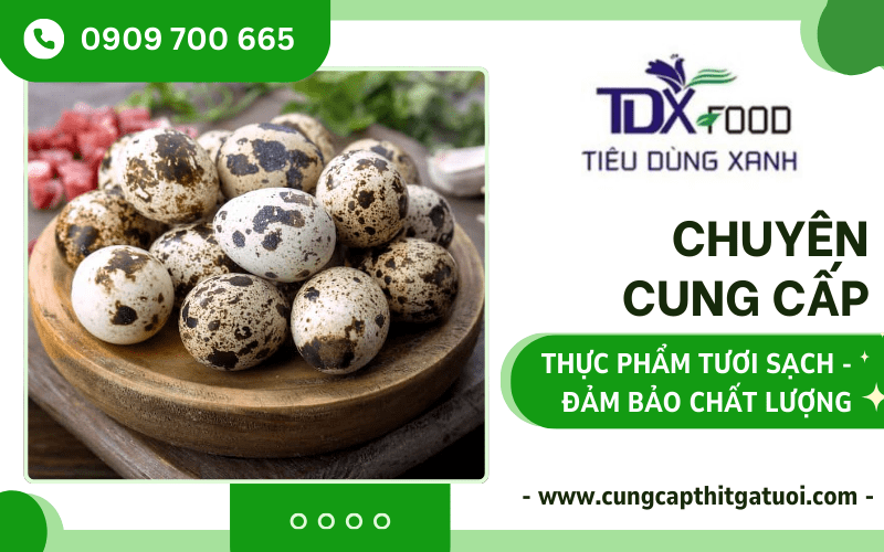 Thực Phẩm Tiêu Dùng Xanh