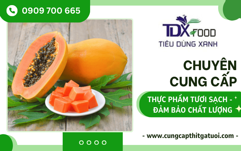 Thực Phẩm Tiêu Dùng Xanh