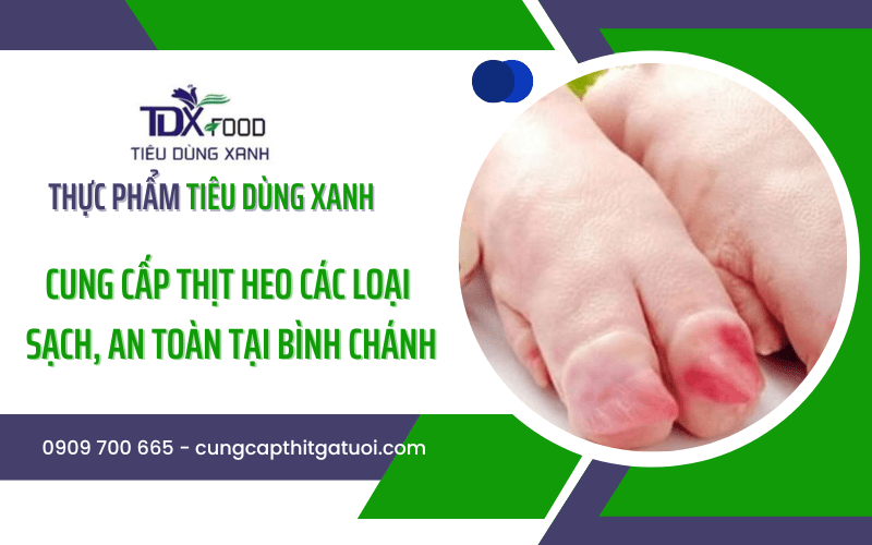 cung cấp thịt heo